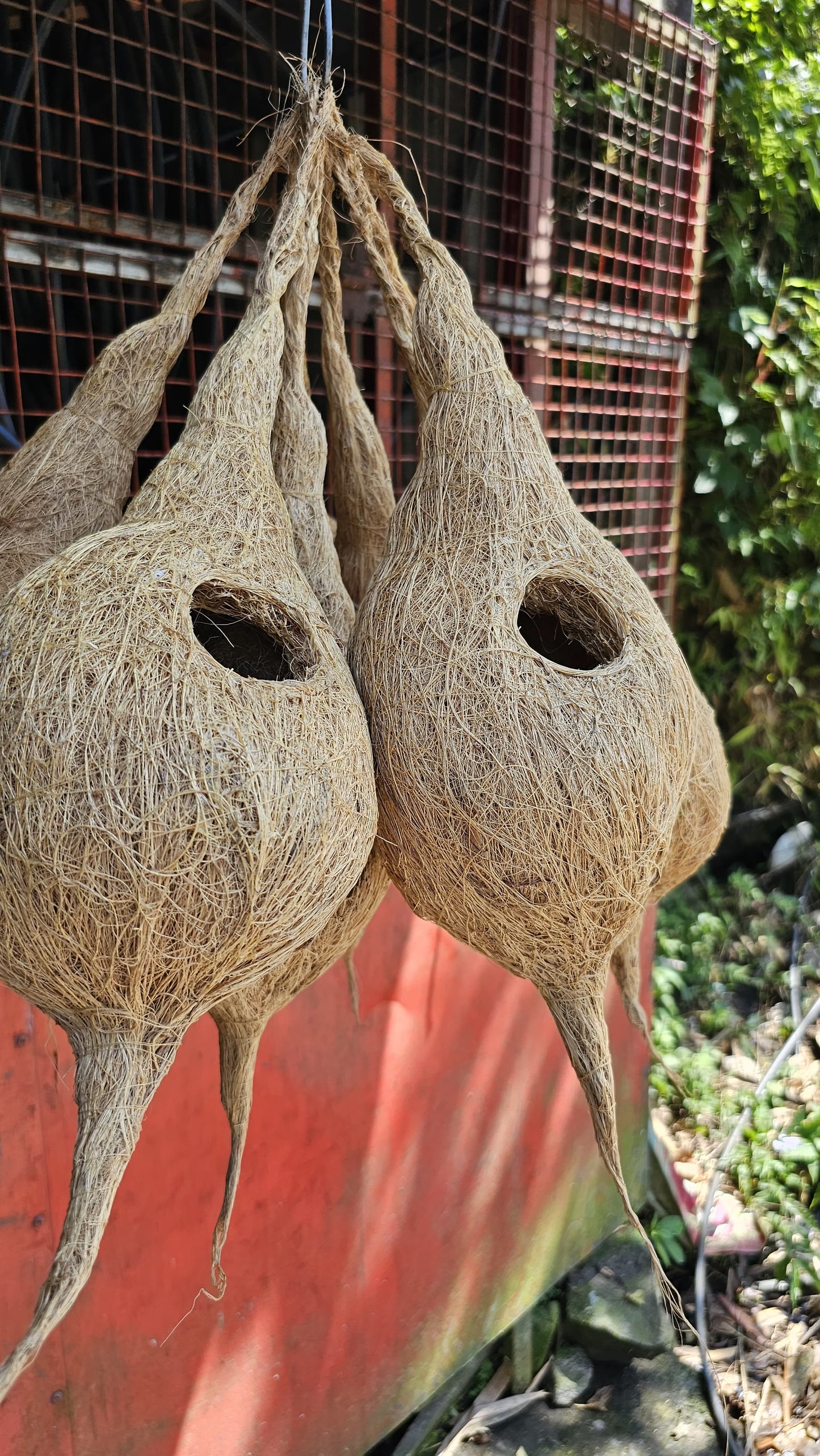 Eco-Friendly Wooden Bird Nest – A Natural Haven for Birds